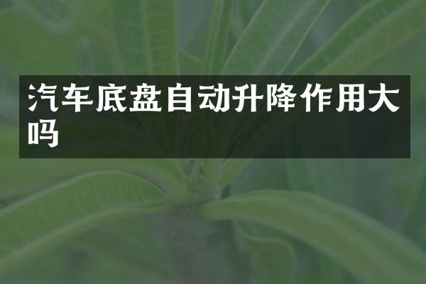 汽车底盘自动升降作用大吗