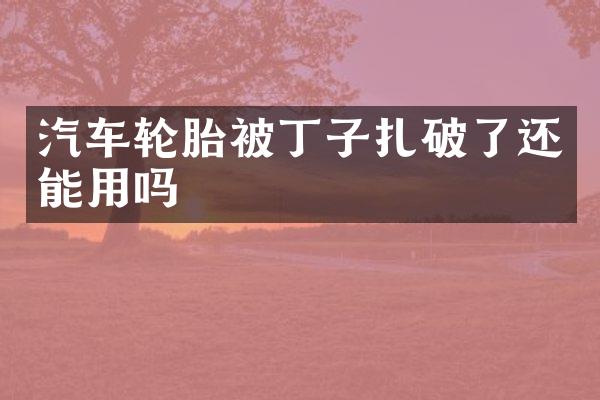 汽车轮胎被丁子扎破了还能用吗