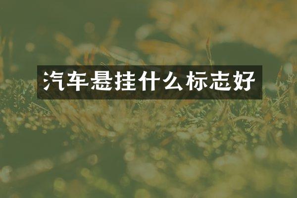 汽车悬挂什么标志好