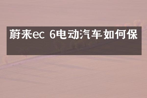 蔚来ec 6电动汽车如何保养