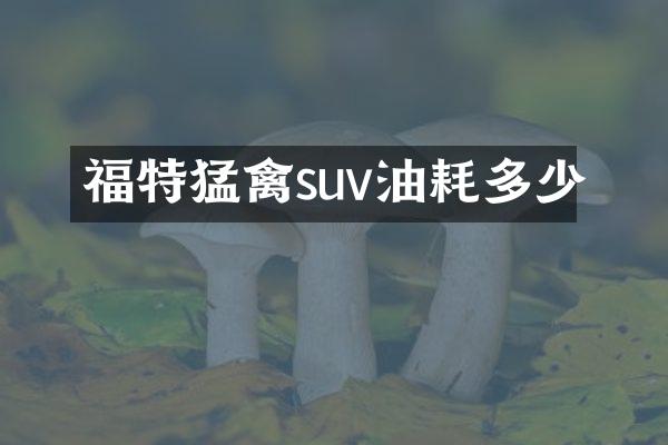 福特猛禽suv油耗多少