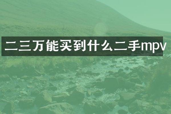 二三万能买到什么二手mpv