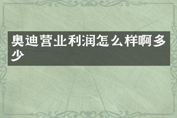 奥迪营业利润怎么样啊多少
