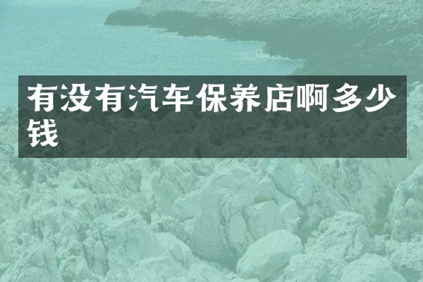 有没有汽车保养店啊多少钱