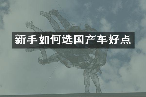 新手如何选国产车好点