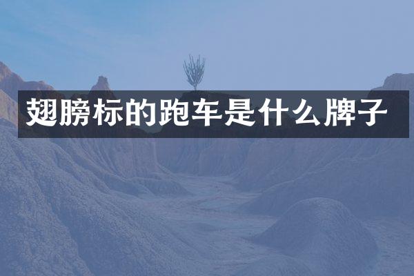 翅膀标的跑车是什么牌子