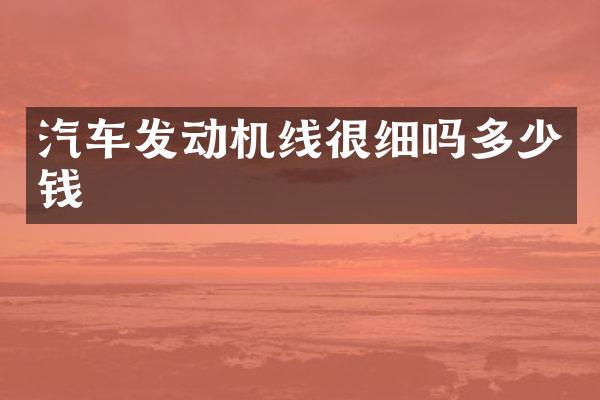 汽车发动机线很细吗多少钱