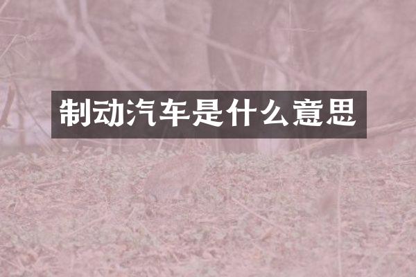 制动汽车是什么意思