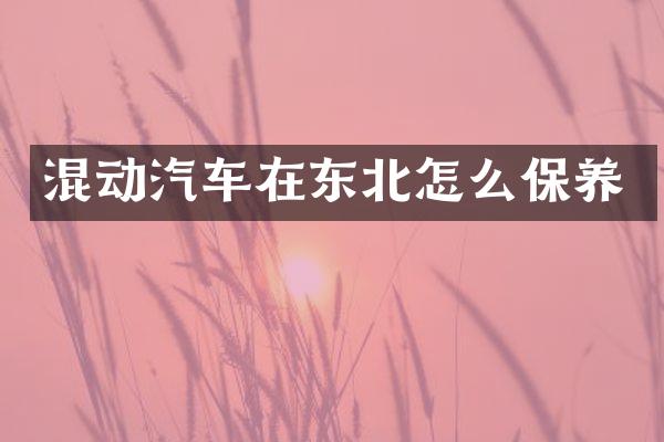 混动汽车在东北怎么保养