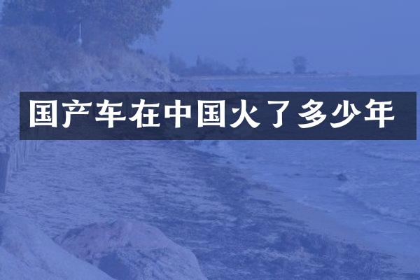 国产车在中国火了多少年