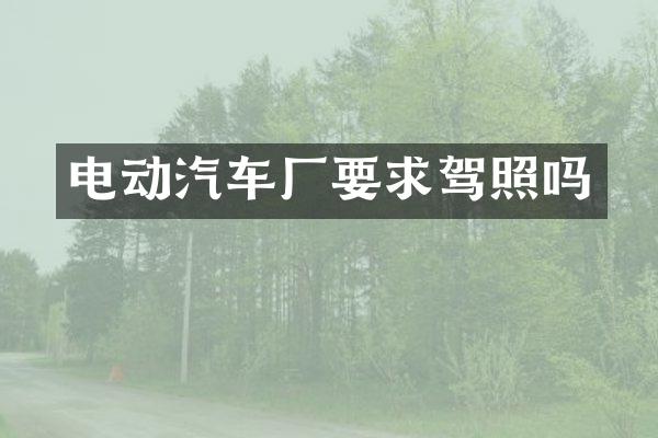 电动汽车厂要求驾照吗
