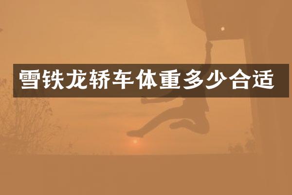 雪铁龙轿车体重多少合适
