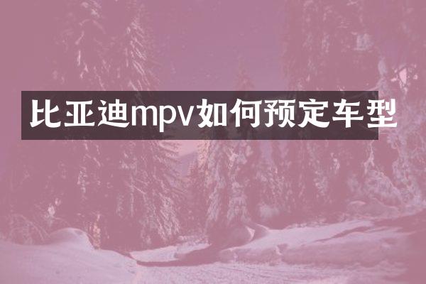 比亚迪mpv如何预定车型