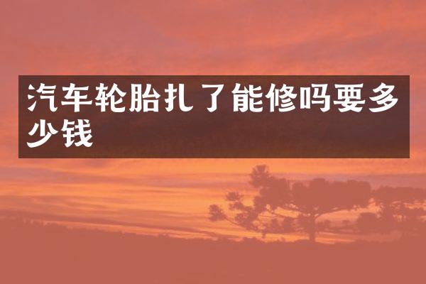 汽车轮胎扎了能修吗要多少钱