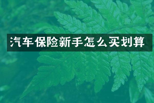 汽车保险新手怎么买划算