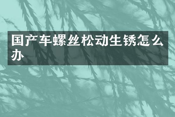 国产车螺丝松动生锈怎么办