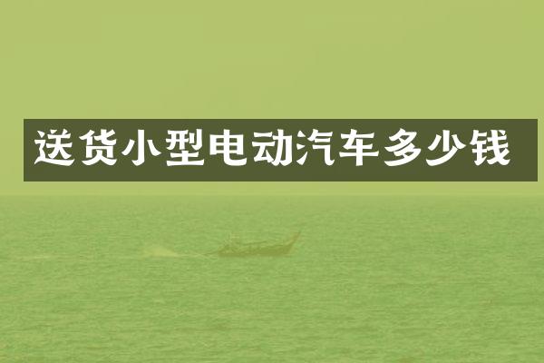 送货小型电动汽车多少钱