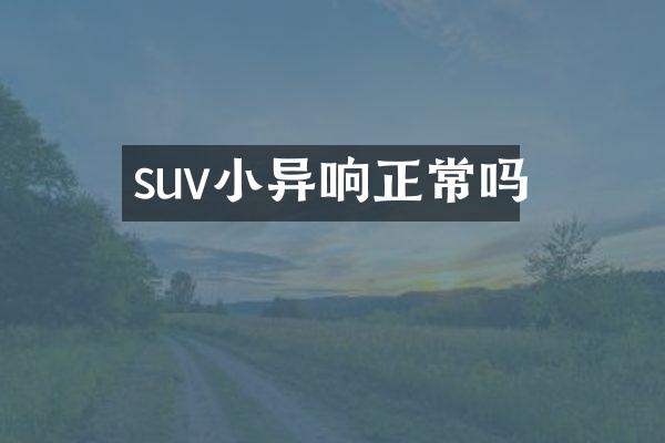 suv小异响正常吗