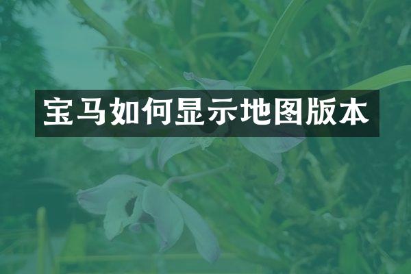 宝马如何显示地图版本
