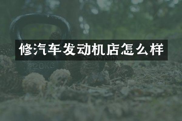 修汽车发动机店怎么样