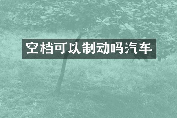 空档可以制动吗汽车