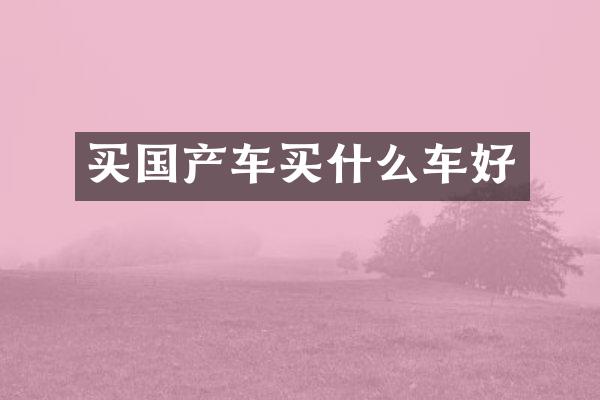 买国产车车好