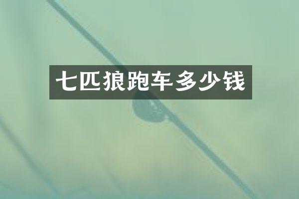 七匹狼跑车多少钱
