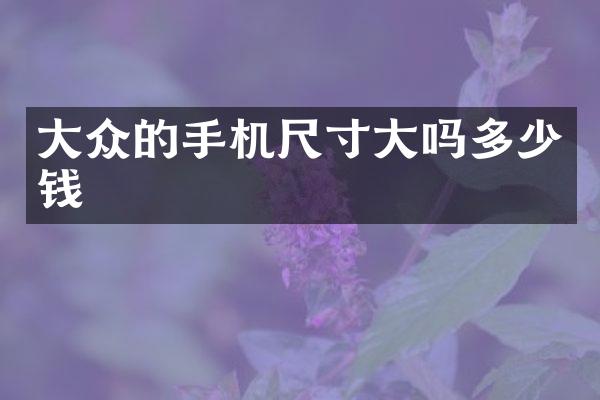 大众的手机尺寸大吗多少钱
