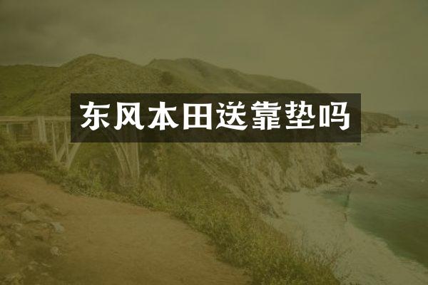 东风本田送靠垫吗