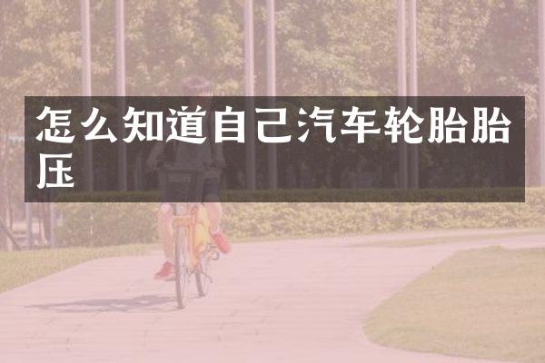 怎么知道自己汽车轮胎胎压