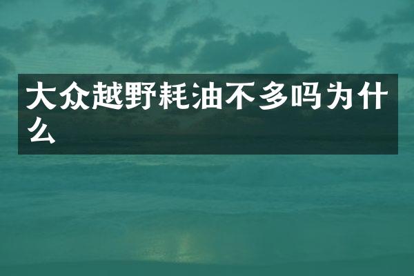 大众越野耗油不多吗为什么