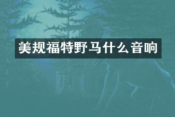 美规福特野马什么音响