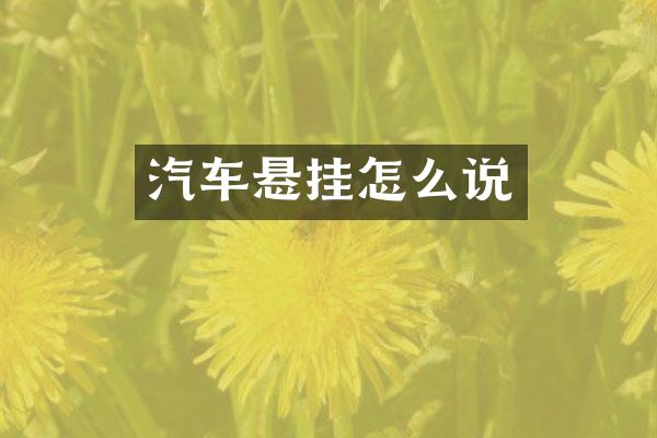 汽车悬挂怎么说
