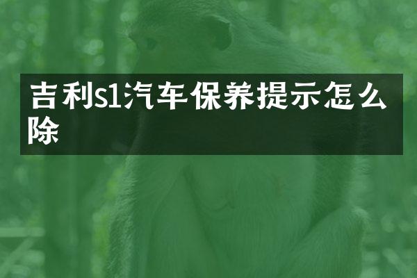 吉利s1汽车保养提示怎么消除
