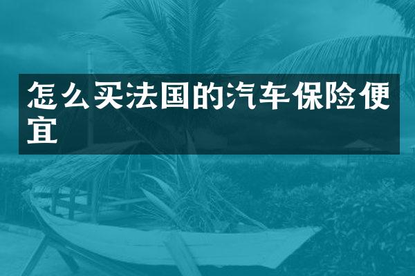 怎么买法国的汽车保险便宜