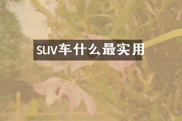 suv车什么最实用