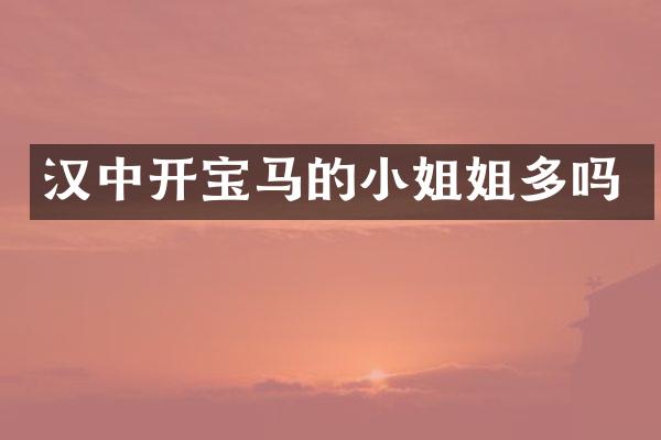 汉中开宝马的小姐姐多吗