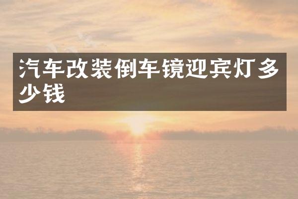 汽车改装倒车镜迎宾灯多少钱