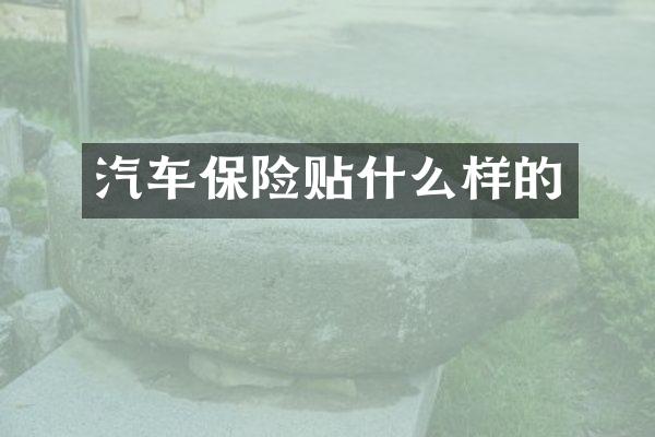 汽车保险贴什么样的