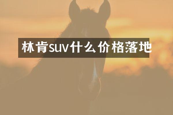 林肯suv什么价格落地