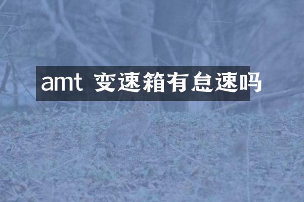 amt 变速箱有怠速吗