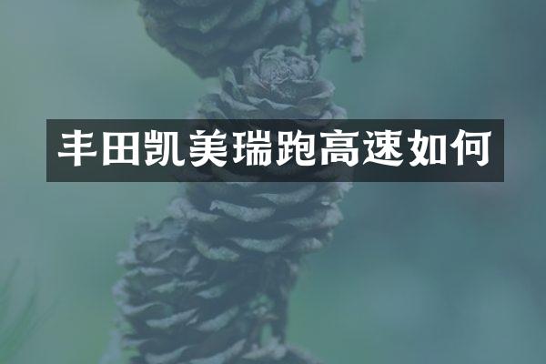 丰田凯美瑞跑高速如何