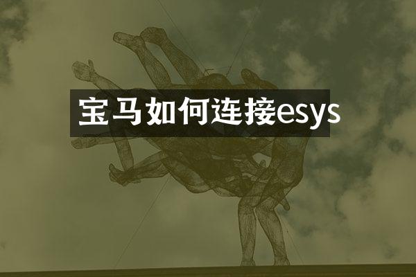 宝马如何连接esys