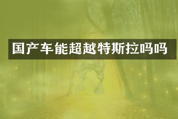 国产车能超越特斯拉吗吗