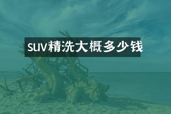 suv精洗大概多少钱