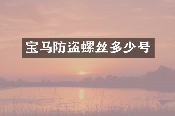宝马防盗螺丝多少号