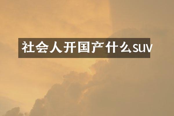 社会人开国产什么suv