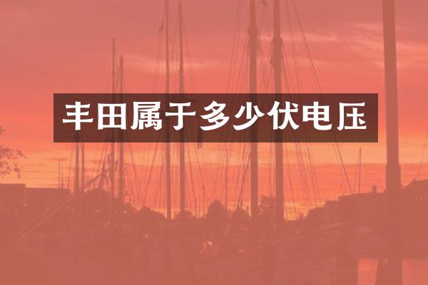 丰田属于多少伏电压