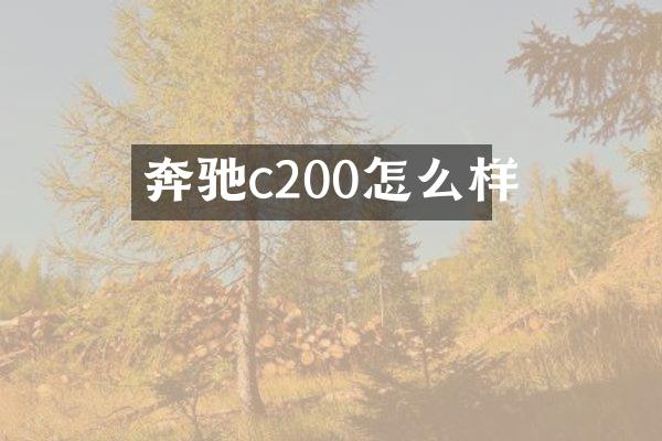 奔驰c200怎么样