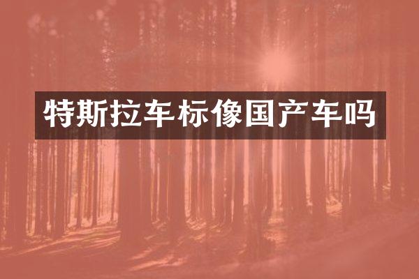 特斯拉车标像国产车吗